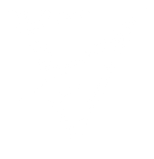 Velcor